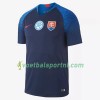 Slowakije Uit Shirt 2018
